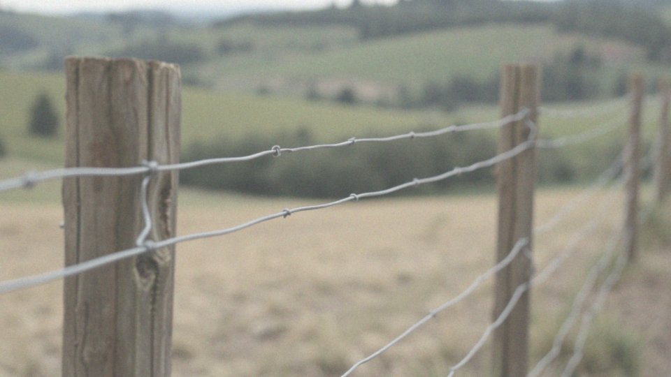 Do czego służy drut naciągowy w ogrodzeniach?