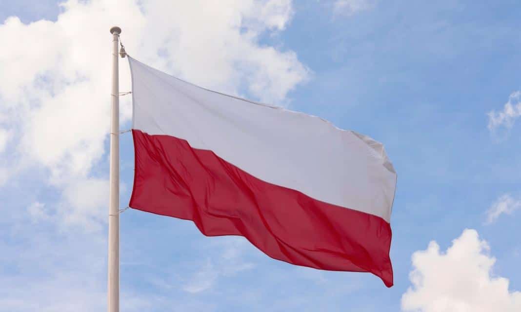 Obchodźmy razem Dzień Flagi RP w Płocku!
