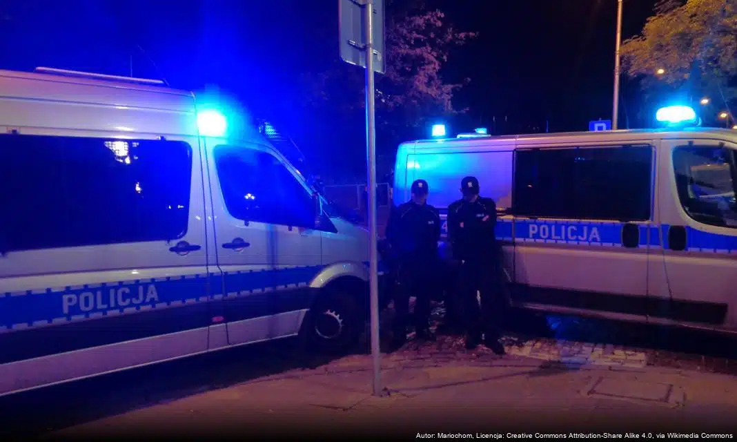 Tragiczny wypadek na krajowej 60 w powiecie płockim